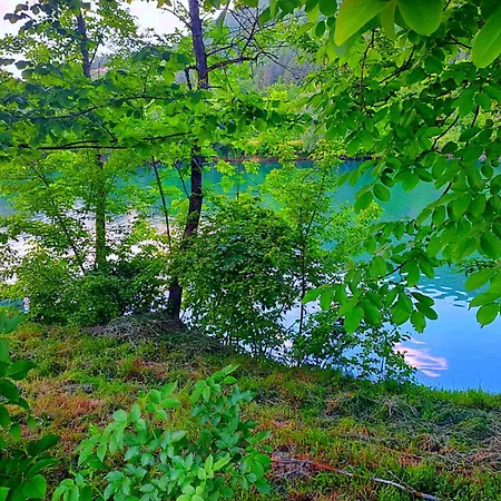 Villa Of Senses Bihac